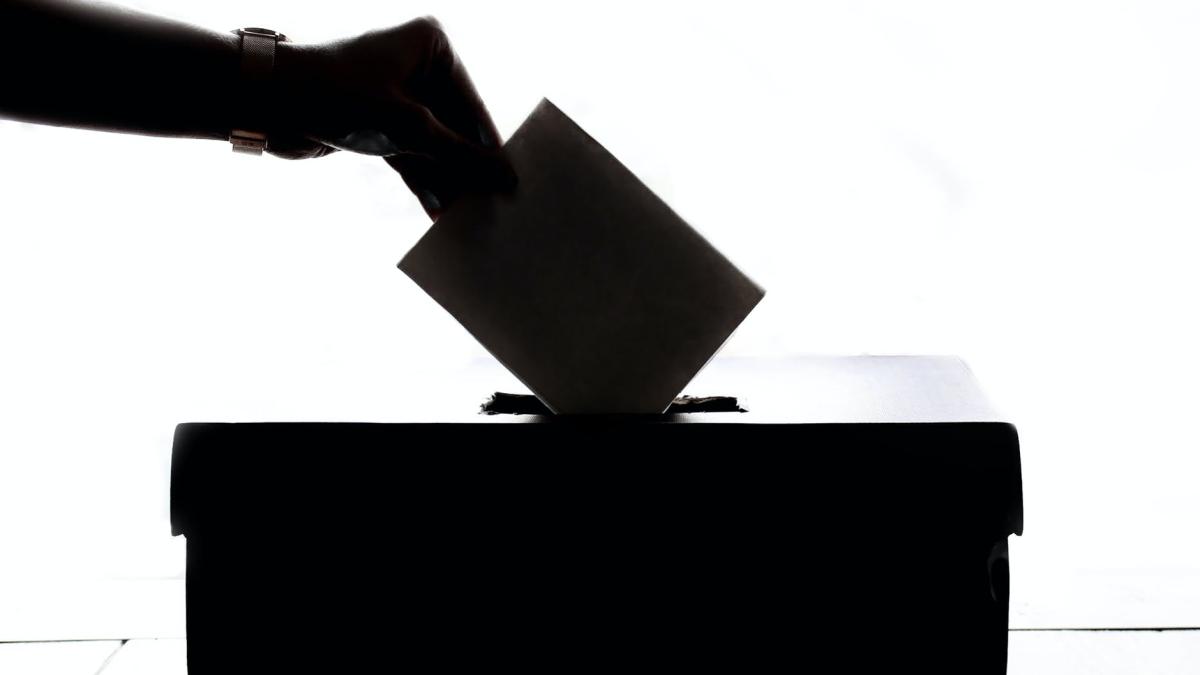 alegeri-vot_27407600
