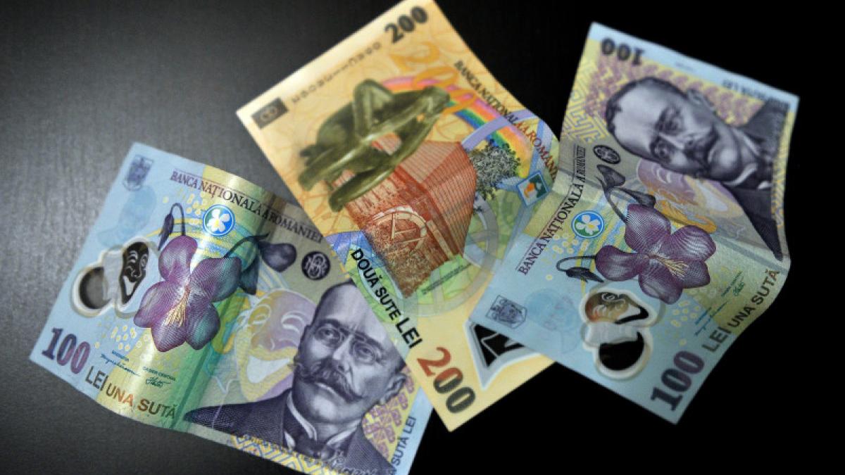 bani-investitie-100-de-lei_03606800