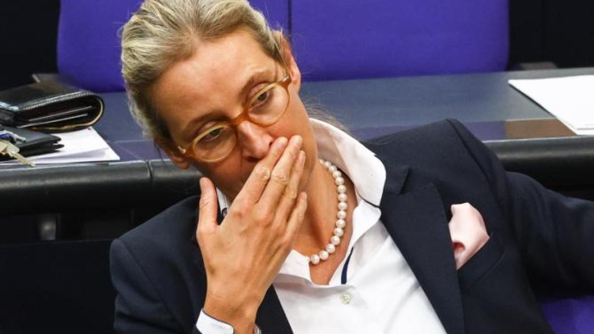 afd-alice-weidel_98893700