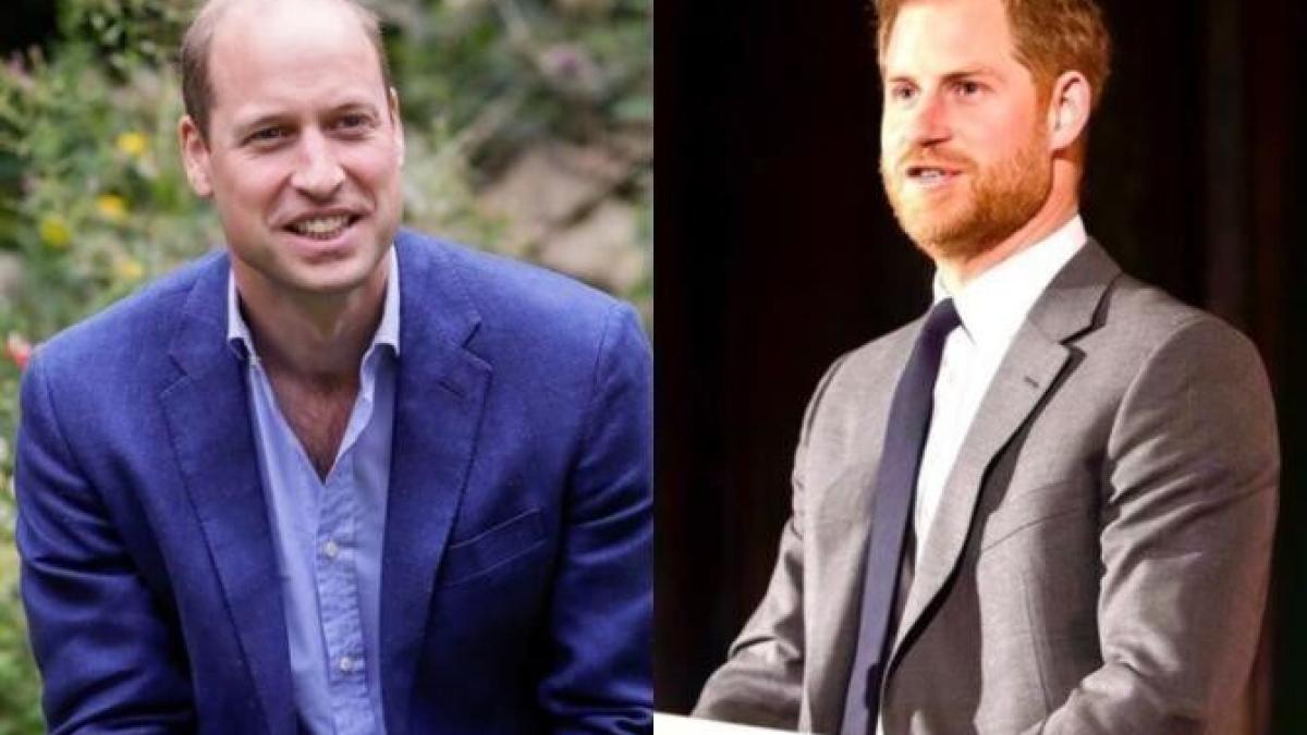 harry-william-tradare_54949900