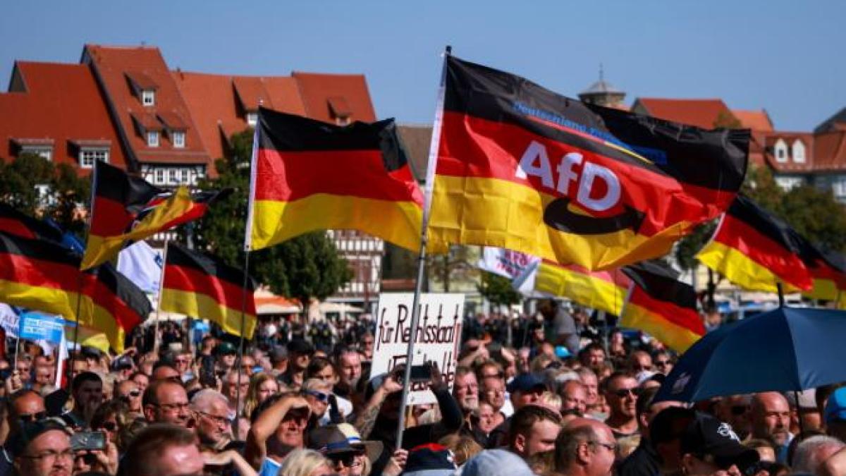 germania-partidul-de-extrema-dreapta-afd-a-castigat-detasat-alegerile-din-turingia--in-saxonia-se-afla-pe-al-doilea-loc--la-o-mica-diferenta-de-cdu_71413500