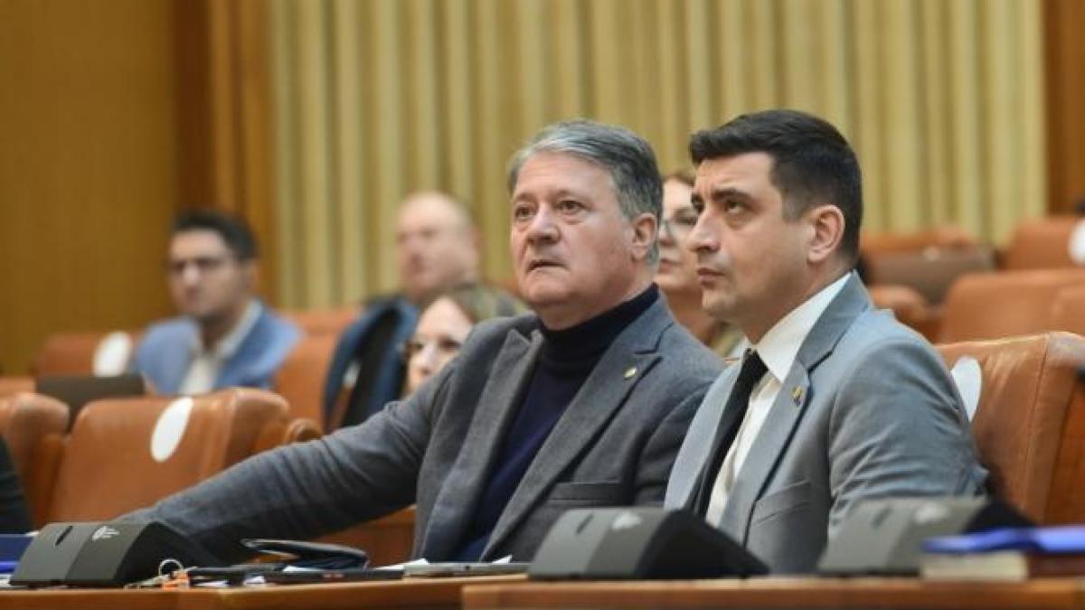 simion_andrusceac_ager_08066400