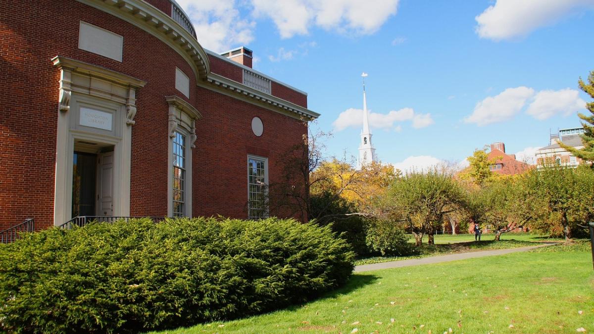 harvard-studenti-romani_61817400